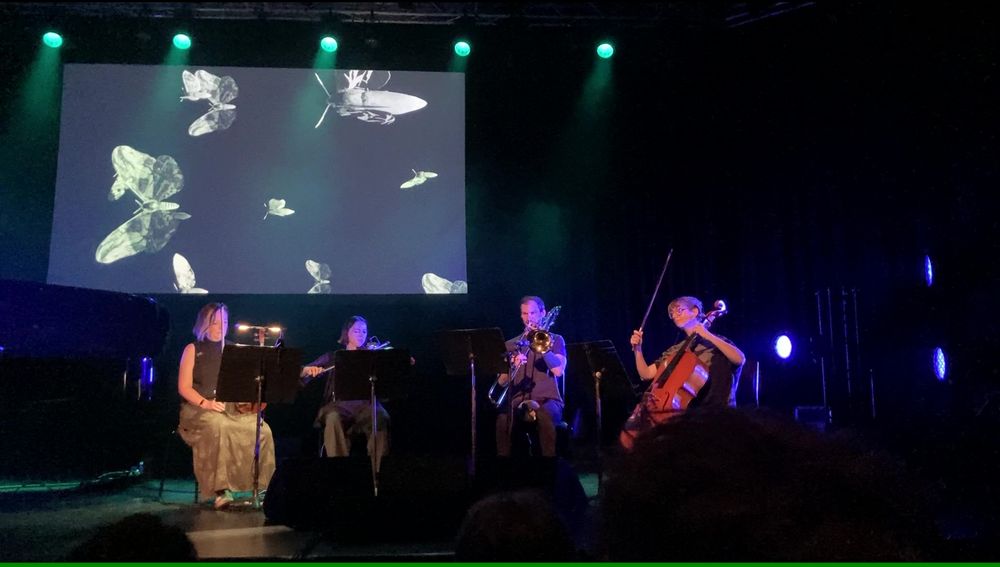 Four musicians on stage in front of a screen showing animated moths