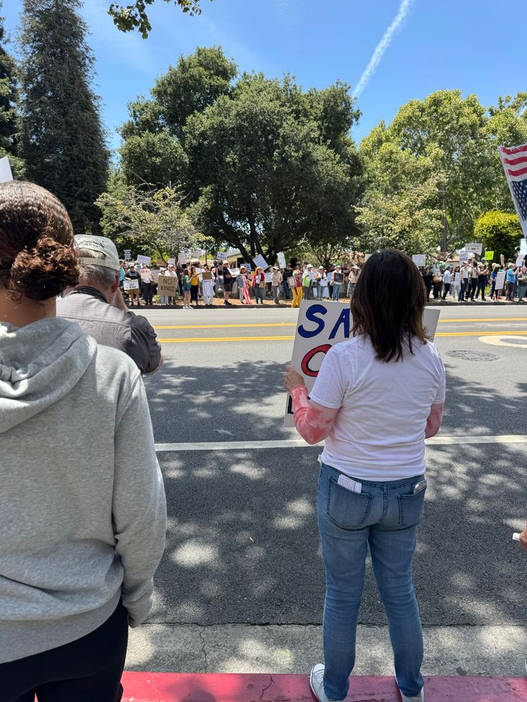 Protesters for #NoKings