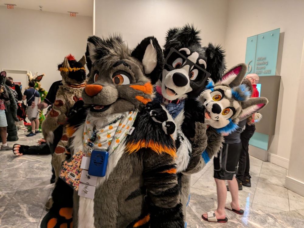 a line of animals