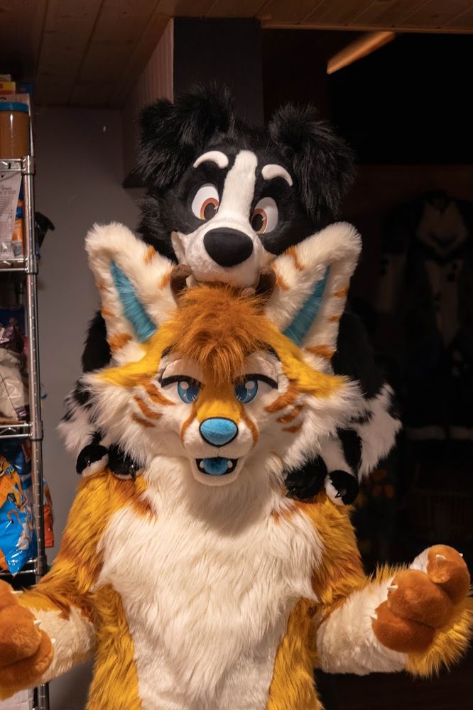 a dog and some ears