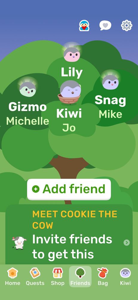 Four finches called Gizmo, Kiwi, Snag and Ava, in a tree.