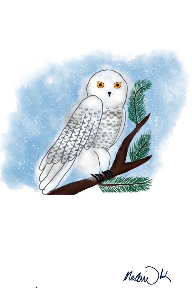 A digital painting of a snowy owl perching on a pine branch with a light blue snowy background 