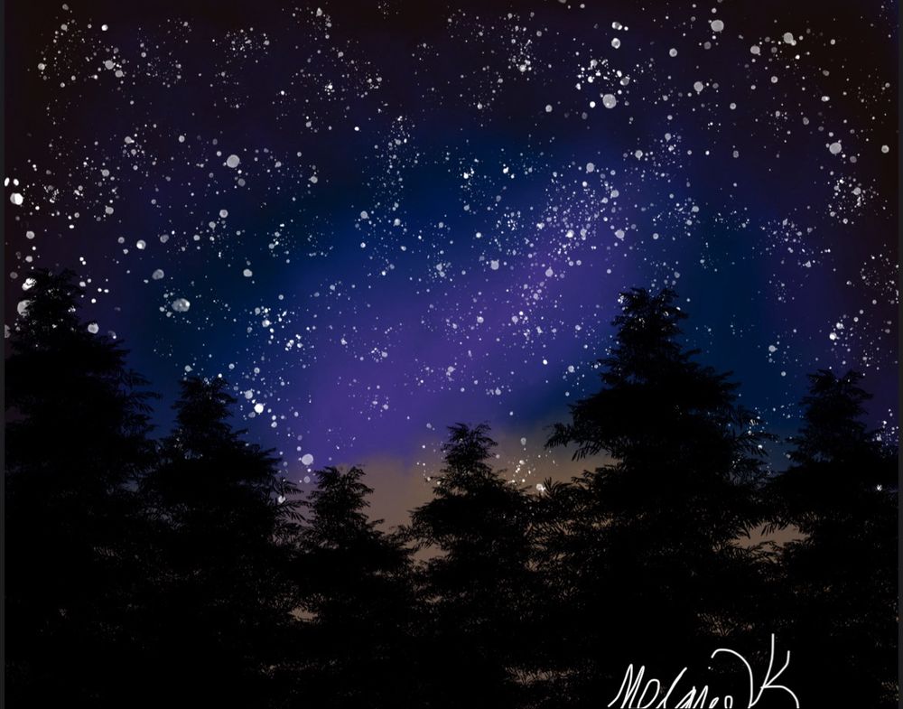 A starry night with pine tree silhouettes