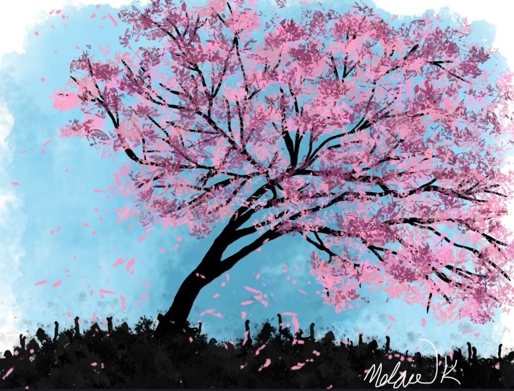 A digital painting of a cherry blossom tree with a black trunk with a blue background
