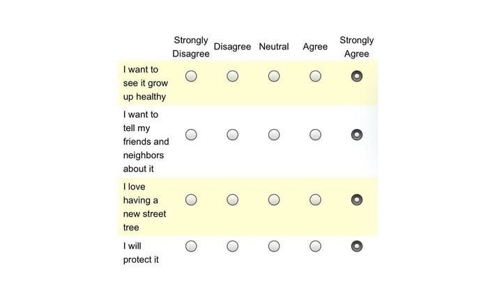 I want to see it grow up healthy

I want to tell my friends and neighbors about it

I love having a new street tree

I will protect it

Strongly agree