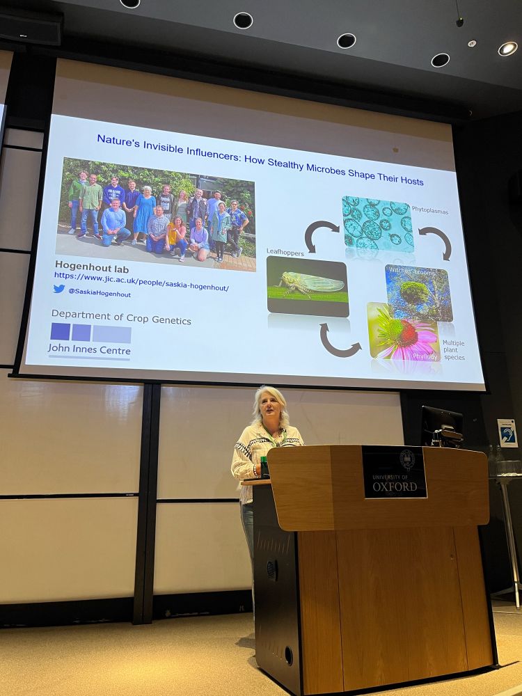 A female professor delivering a lecture