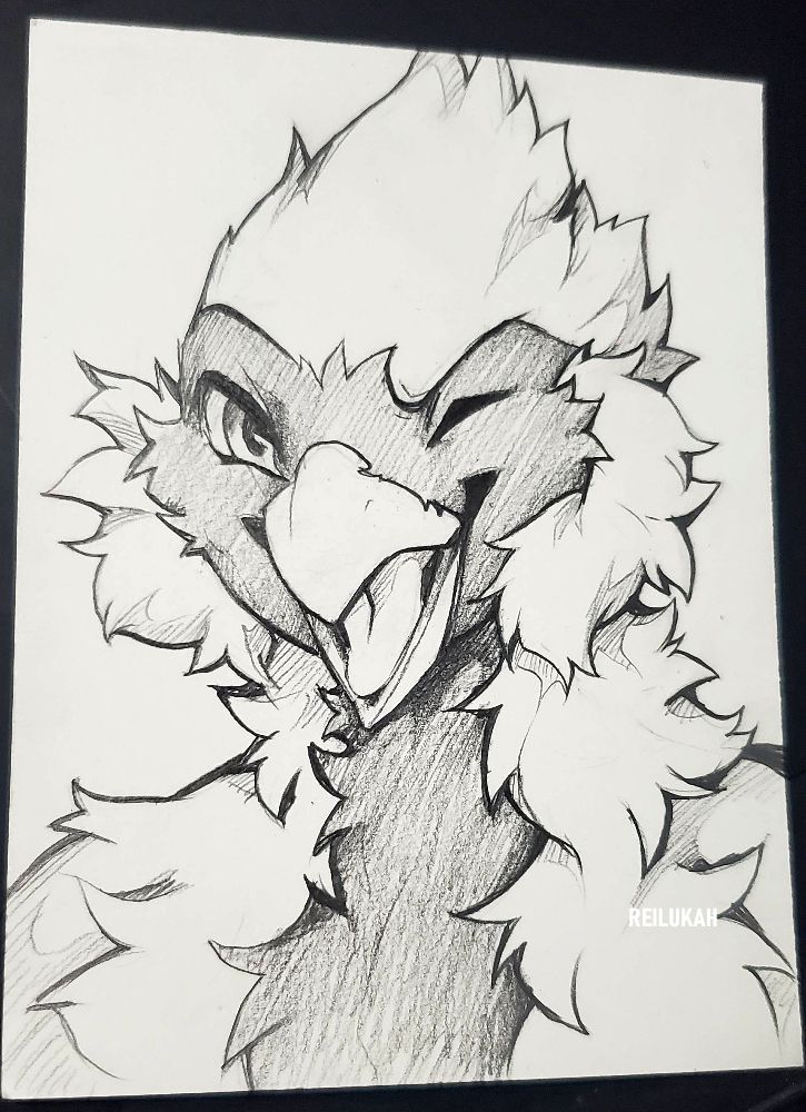 Black and white graphite sketch of a winking birdie. 4.5x6inch paper 