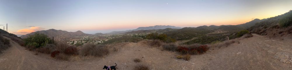 A panorama of the sunset featuring a foreground dog