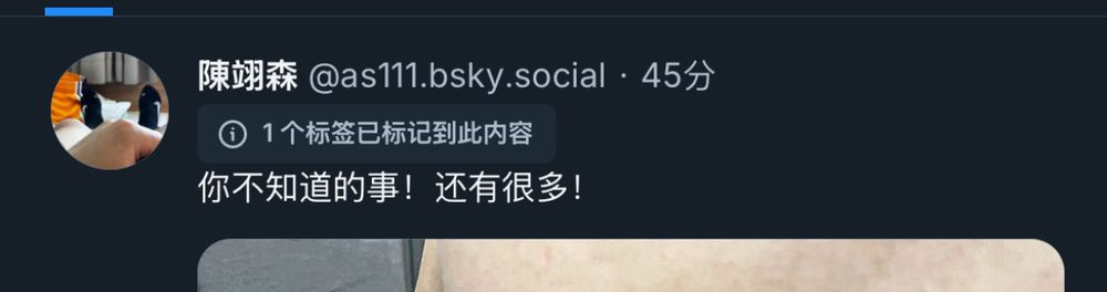 借楼请教：内容被标记是需要怎么设置呢？