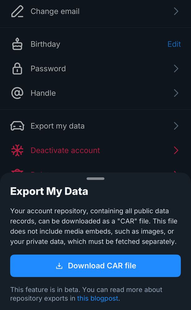 bsky's "export my data" option in account setting