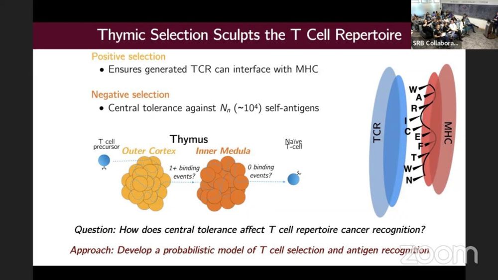 Jason George - Biophysical and stochastic modeling of the tumor-immune inte