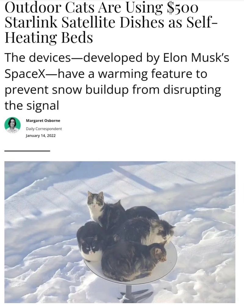 Screenshot of story headline about cats using SpaceX satellite dishes as cozy warm beds, with accompanying pic of about five cats in a dish surrounded by snow. Here’s the text:

Outdoor Cats Are Using $500
Starlink Satellite Dishes as Self-Heating Beds
The devices—developed by Elon Musk's SpaceX-have a warming feature to prevent snow buildup from disrupting the signal
Margaret Osborne
Daily Correspondent
January 14, 2022
