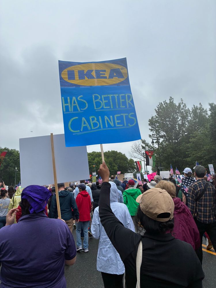 Protest sign, “IKEA has better cabinets “