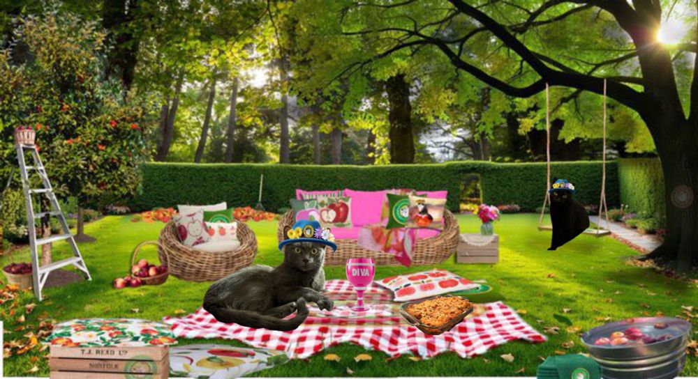 It’s a green picnic setting with Suzi a grey cat with a hedgewatch bonnet on. She’s sitting on a red checkered blanket. Sitting on a swing hanging from a tree is tuna. Tuna is a black cat and she’s wearing a white bonnet also. 