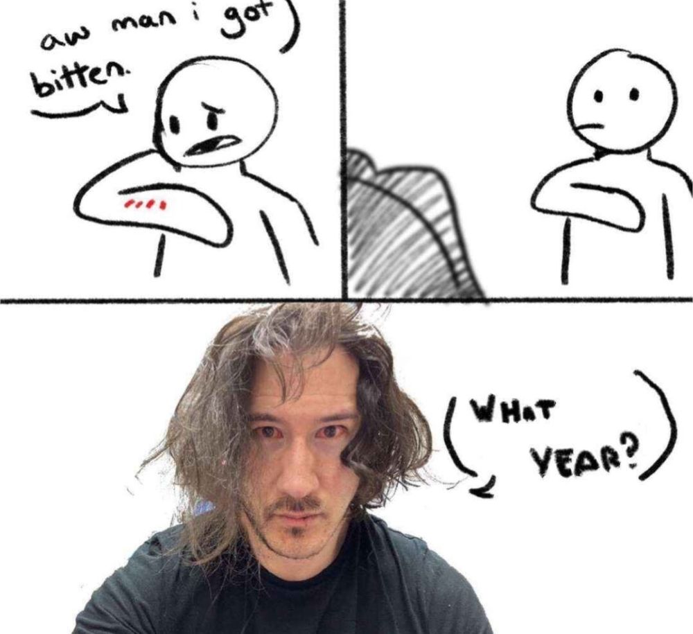 First panel: guy looking at his arm saying "aw man i got bitten"

Second panel: man looking up, startled, as someone approaches

Last panel: a photo of markiplier looking disheveled and like he hasn't slept in a week asking "what year?"
