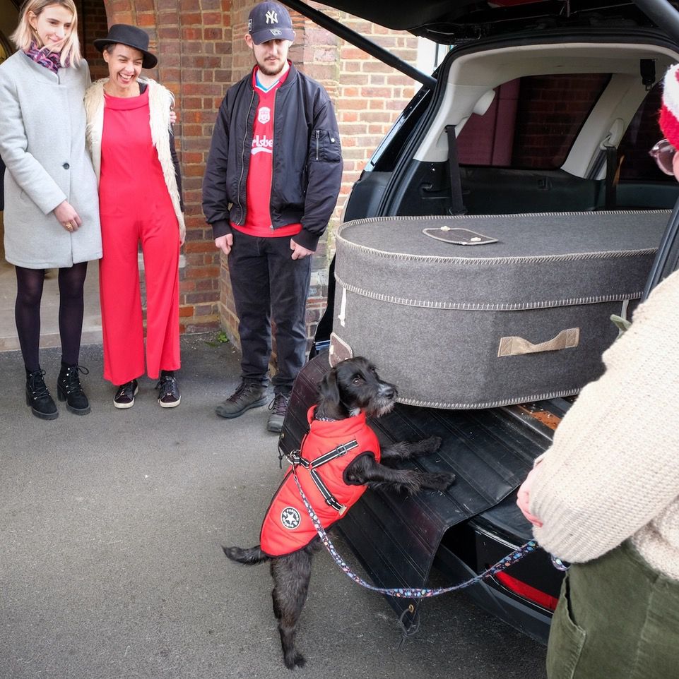 A black Patterdale terrier wearing a red coat standing on its hind legs with its head against a grey woollen coffin in the back of a black hearse. Two women and a man are smiling as they look at the dog.