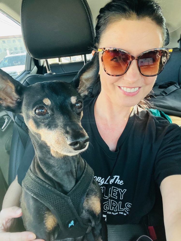 A perfect little 12 yo min pin and her devoted handler/personal chef. 