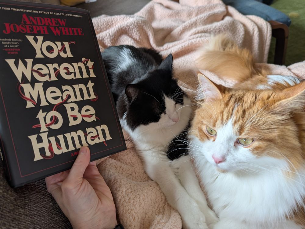 Photo of Sal and Archie, a black and white cat and an orange and white cat, lying on top of a pink blanket that I've got over my lap. I'm holding a hardcover copy of the book "You Weren't Meant to Be Human" by Andrew Joseph White.