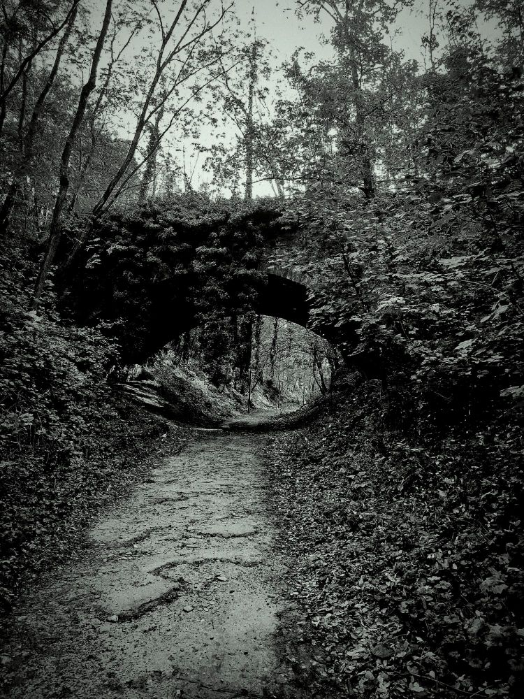 Photo noir et blanc d'un pont couvert de lierres et une petite route abîmée passant dessous. La voûte du pont a un peu une forme d'œil.