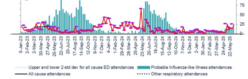 Added red line Christhchurch covid wastewater per person, purple dots overnight inpatients with covid in Canterbury