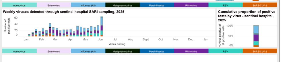 Sentinal (Auckland) virus screening results.