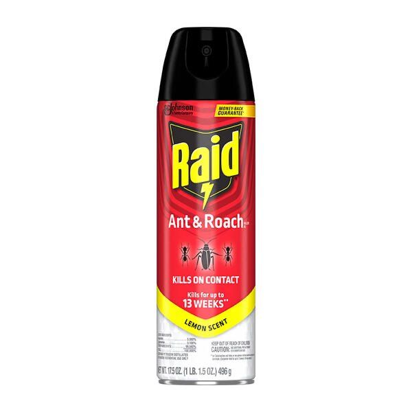 Raid ant & roach killer, and hopefully it works on whatever the fuck that was