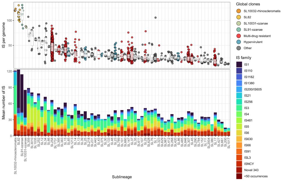 Graph showing IS loads by Klebsiella sub-lineage