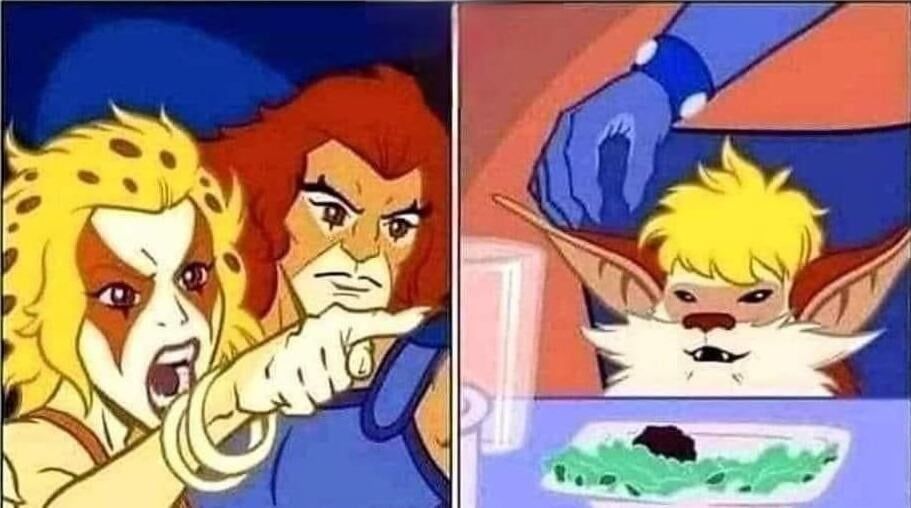 Woman Yelling at a Cat meme but with Thundercats 