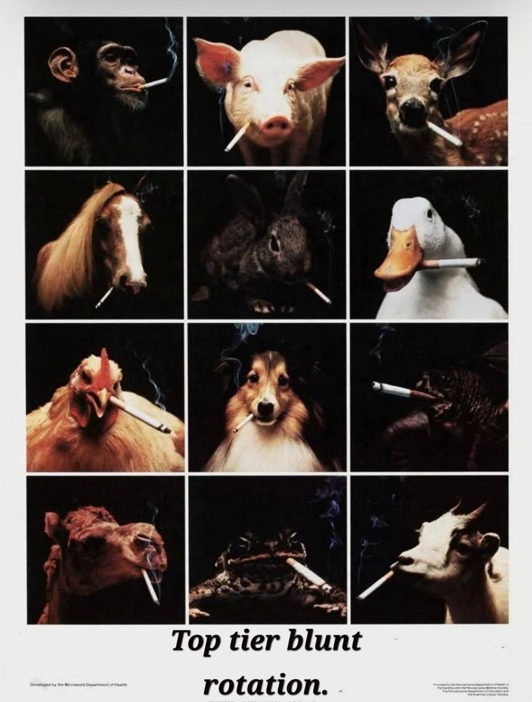 A bunch of animals smoking the devil's lettuce.