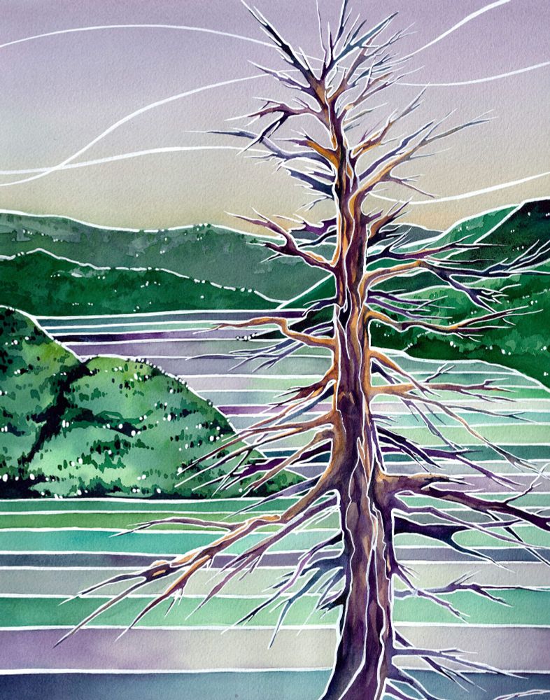 A stylized watercolor painting of a wiry leafless tree in front of a lake, in green and purple.