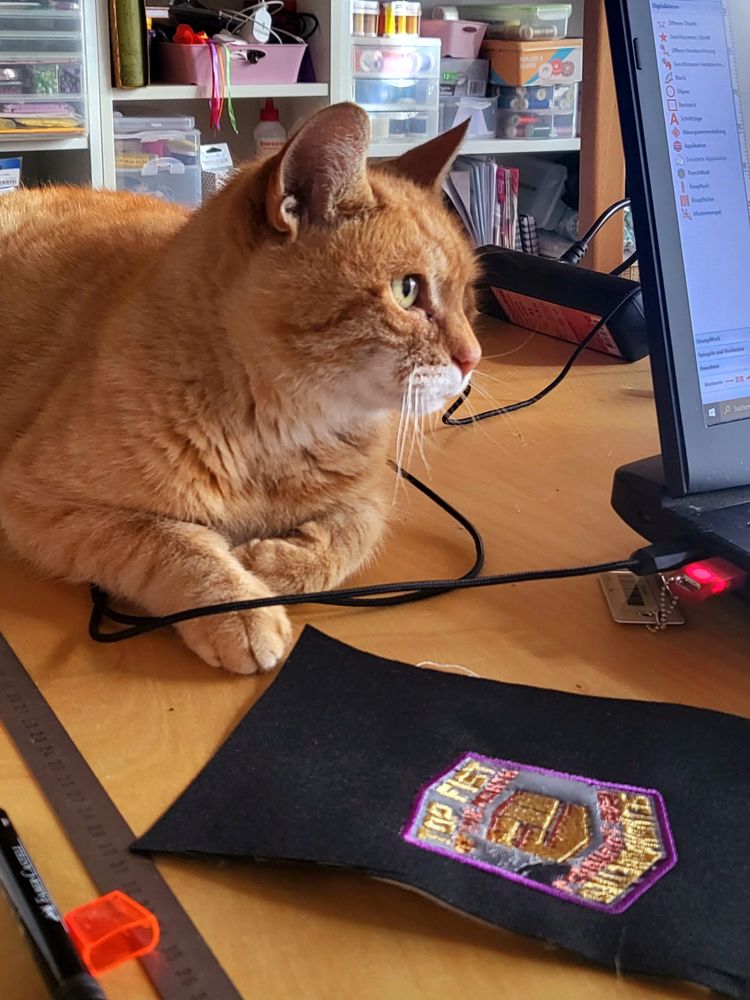 old grumpy cat wants to chill with me while I'm working on a embroidery commission