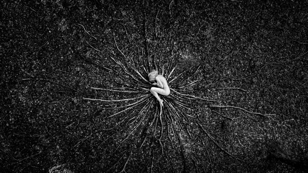 Fine art aerial photograph in monochrome. A nude figure is curled in a fetal position at the nucleus of a radiating pattern of branches on the forest floor, creating a geometric composition of roots or veins.