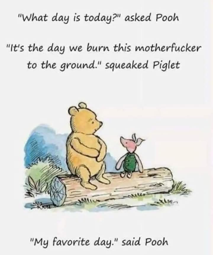 Pooh and Piglet sitting on a log

“What day is today?” asked Pooh

“It’s the day we burn this mutherfucker to the ground.” squeaked Piglet 

“My favorite day.” said Pooh
