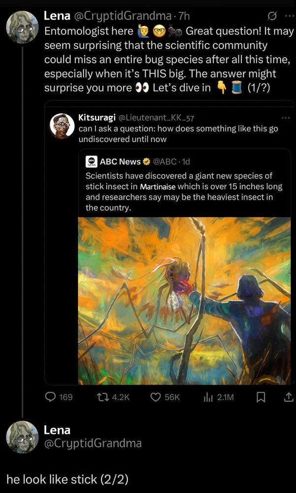 A tweet about an Australian giant new species of stick insect being found edited to look like it's about the Insulindian Phasmid. A person edited to look like Kim Kitsuragi asks how does something like this go undiscovered until now.

A person edited to look like Lena answers, that it may seem surprising that the scientific community could miss an entire bug species after all this time, especially when it's this big. The answer might surprise you more. Let's dive in, a thread. (1/?)

He look like a stick (2/2)