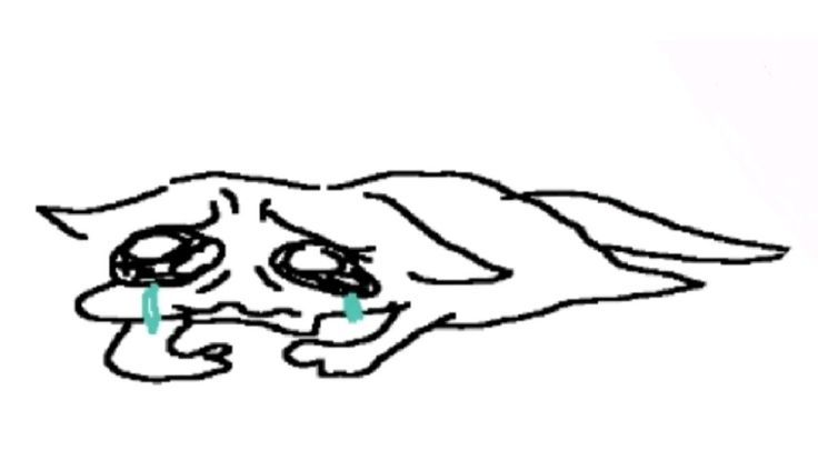 Pathetic cat creature crying on the floor