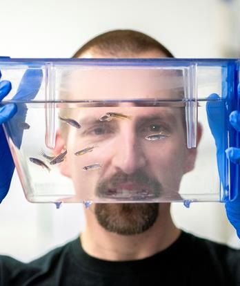 A photo of Cameron Wyatt through a glass tank containing zebrafish