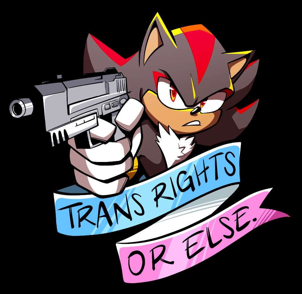 Shadow the Hedgehog holding a gun, with a blue, white, and pink banner beneath him that reads Trans Rights or Else.