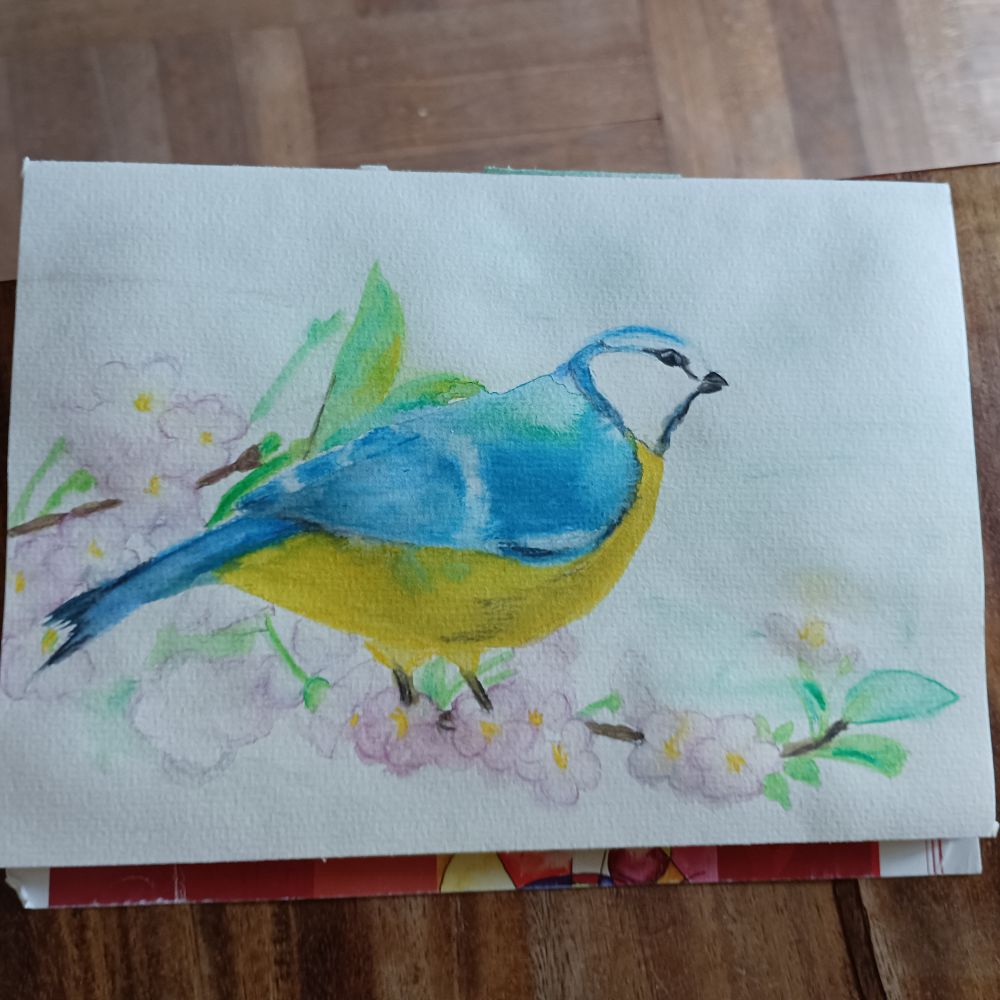 Win Aquarellbild zeigt eine Blaumeise auf einem Ast mit Blüten.