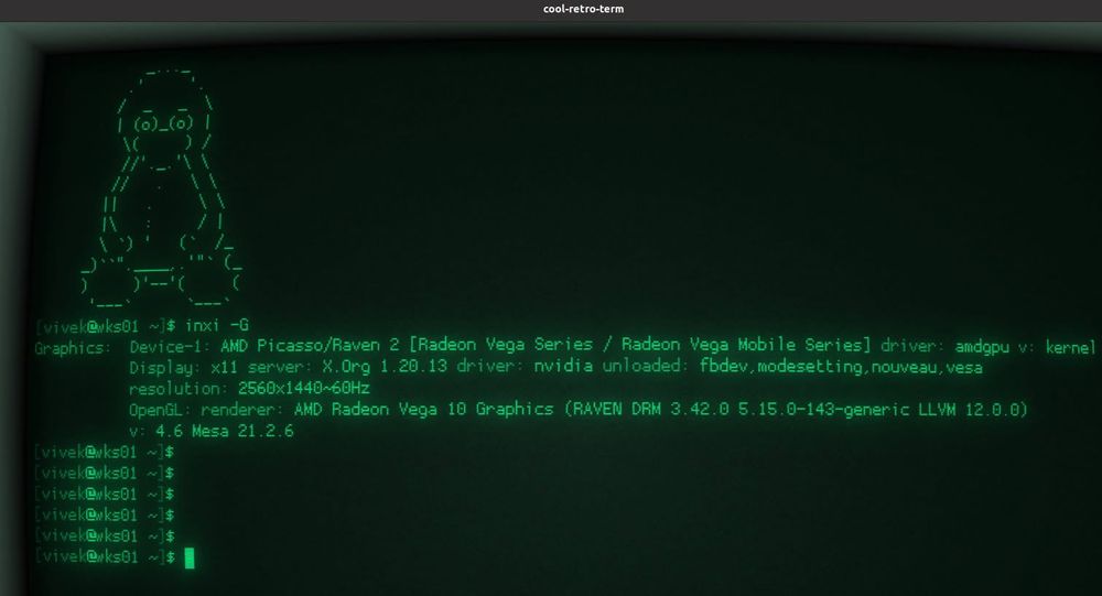 A Linux retro terminal screenshot showing output of the inxi -G command that lists all installed GPU.