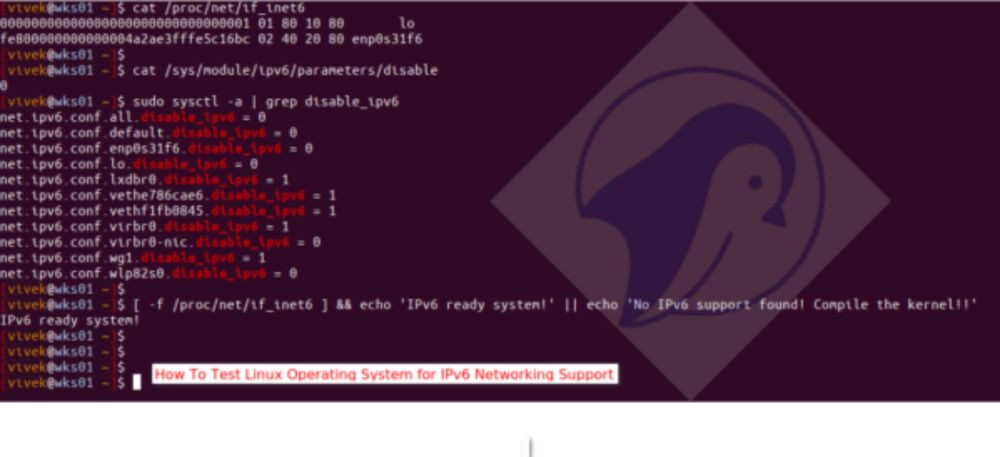 How to test Linux for IPv6 networking support