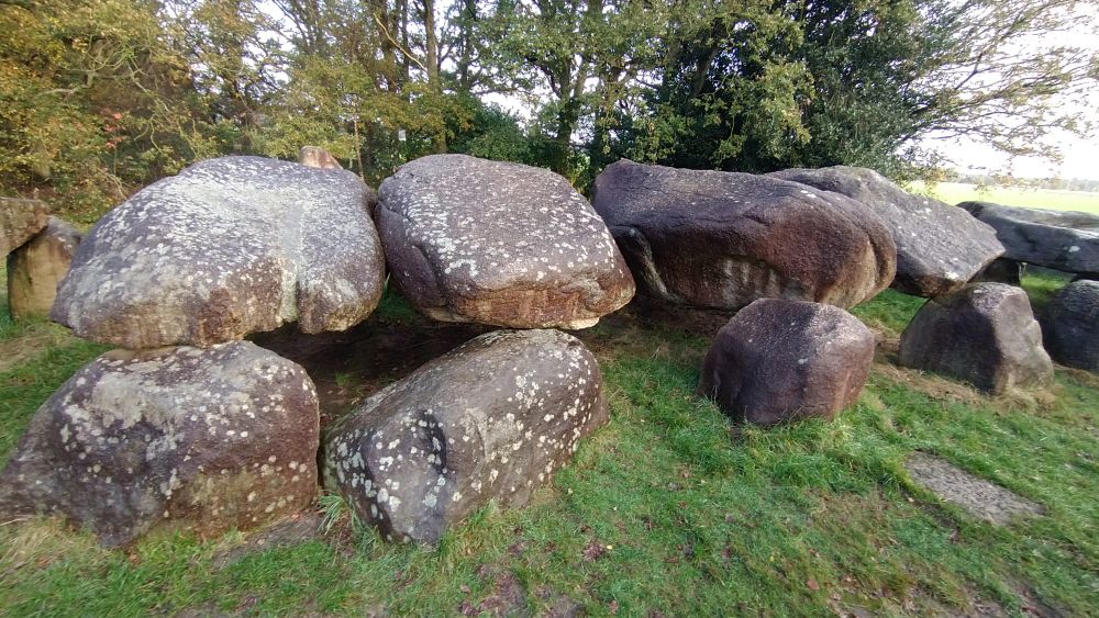 Hunebed D50, the same one as the previous picture, within the outer ring of half buried rocks. We see five half-buried rocks in the foreground, all covered by flat horizontal rocks that are also supported by more half-buried rocks in the back, out of view. Behind these rocks are trees.