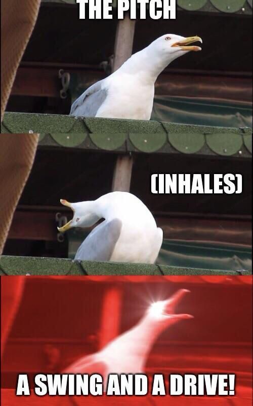 Seagull meme imitating baseball legend Tom Hamilton.
“The pitch.” 
INHALE 
“A SWING AND A DRIVE”