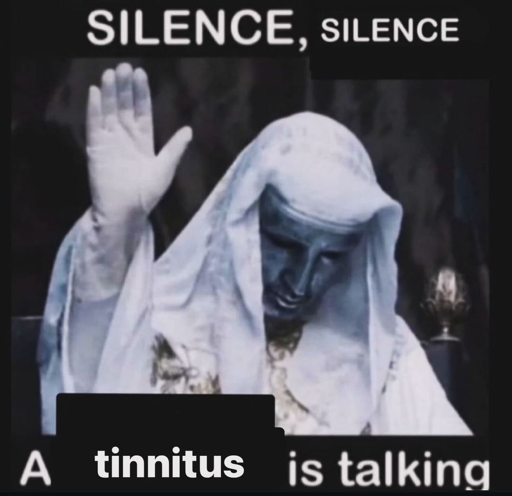 The silence brand meme, but the word brand has been poorly Photoshopped.

Top text: Silence, silence.
The middle image appears to be some kind of religious figure wearing a white hood and metal mask with their right hand raised up, palms out.
Bottom text: A tinnitus is talking.
