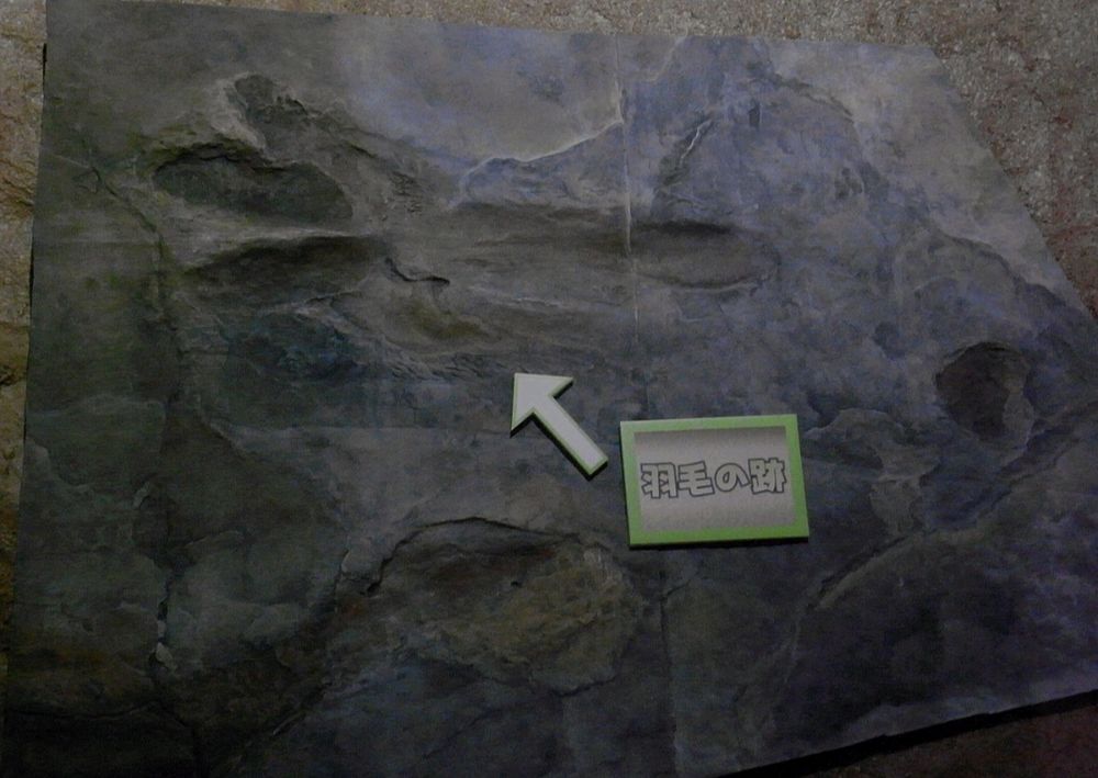 A cast of the impression of a resting theropod, possibly a Dilophosaurus. It includes the footprints and a tail print. A small sign is on the cast, and an arrow pointing at what some think are feather impressions. The sign has a green border and contains Japanese text that I can't reproduce on here. Sorry.