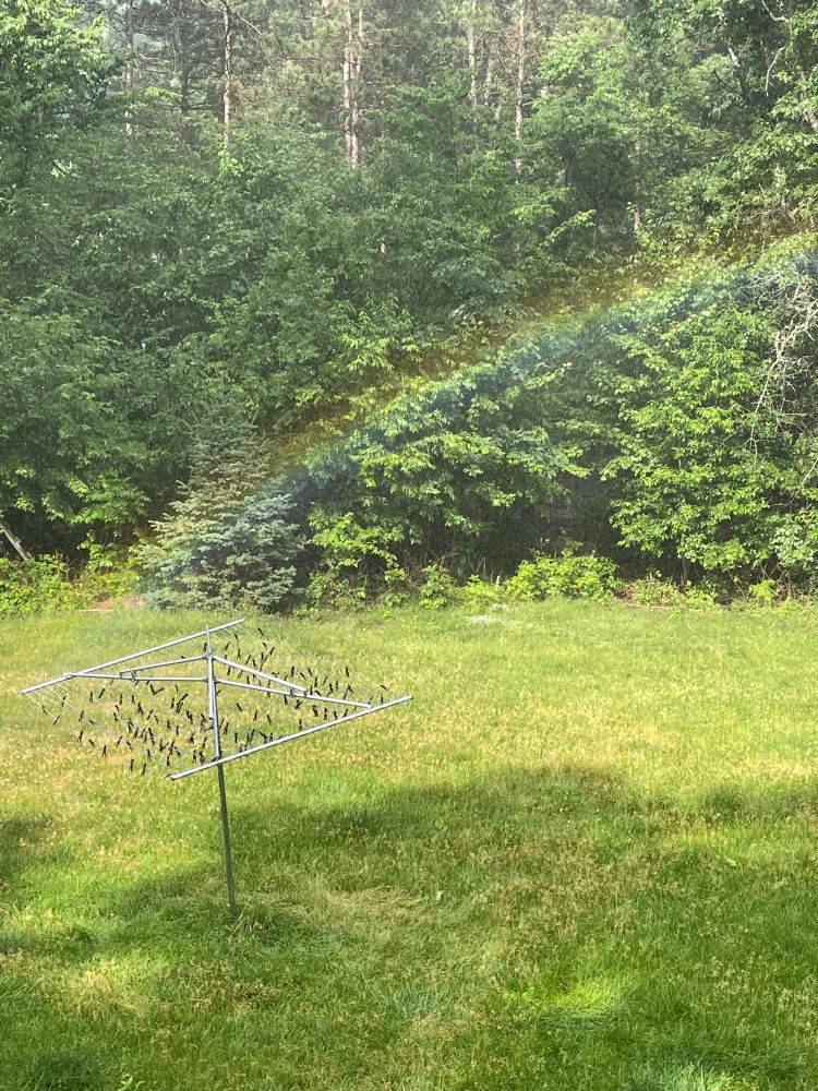A picture of a lawn with trees behind it. I’m front of the trees is part of a rainbow, which is visible all the way to the end. Sadly, it terminates in a patch of tree debris, not a pot of gold.