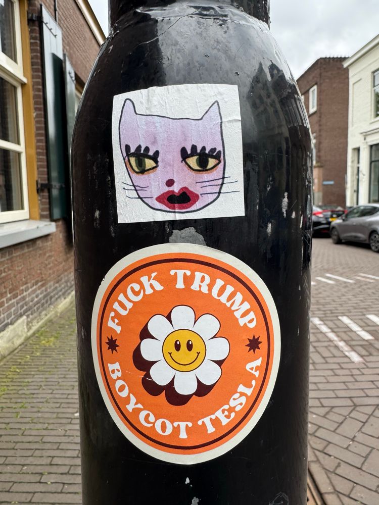 Sticker met kop van een poes erop en een sticker met bloemetje met de tekst ‘Fuck Trump’ en Boycot Tesla