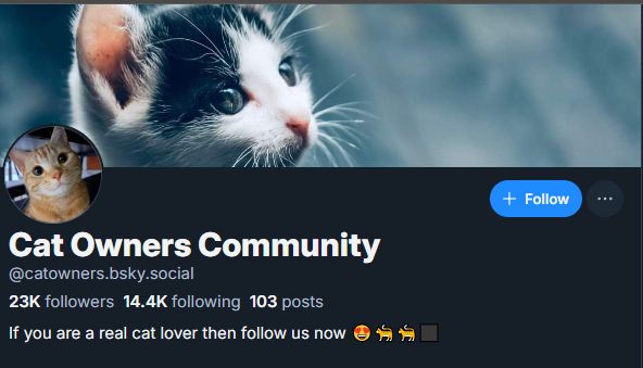 Cat Owners Community @catowners.bksy.social account image.