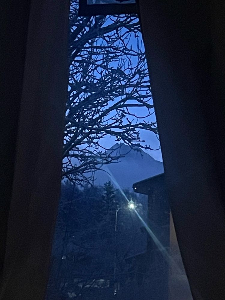 View out the window through parted curtains, showing a dawn-blue sky, outline of pioneer peak, frosty tree-branches, and one glowing streetlight. 