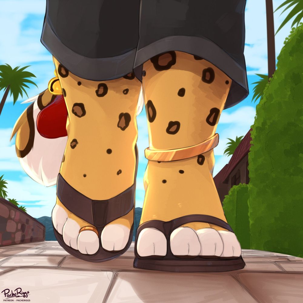 Paws in flip flops walk along the road on a hot summer day