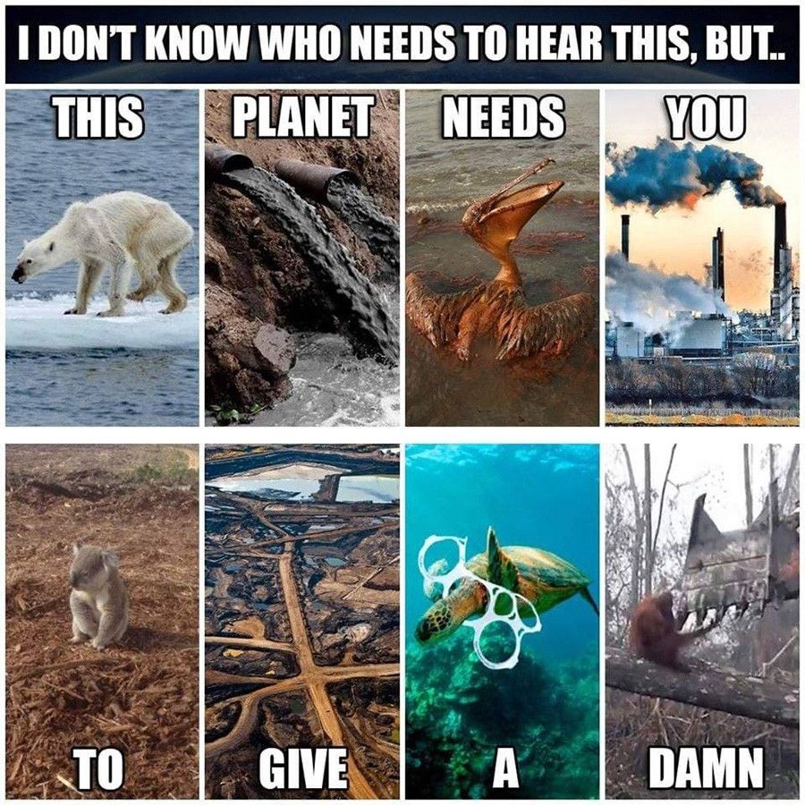 Comment image